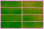 Equipe Coco Verde Mate 5 x 15cm