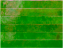 Equipe Bali Green 5 x 40cm