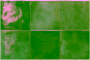 Equipe SPA & Pools Moss Green 15 x 15 cm