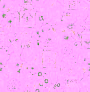 Fine Decor Happy Helaine FD26312